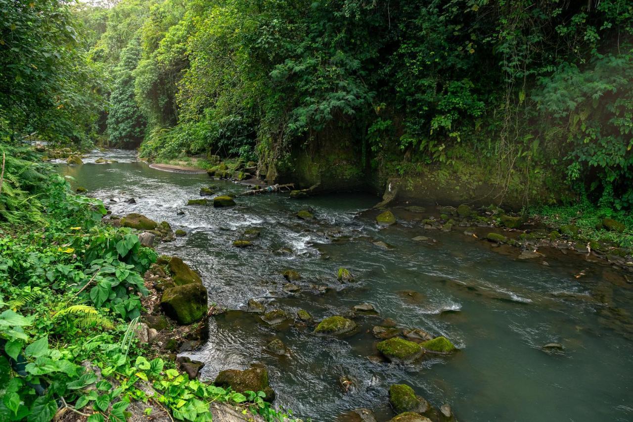 The Pyramid Ubud River Villas Gianyar  Exterior photo